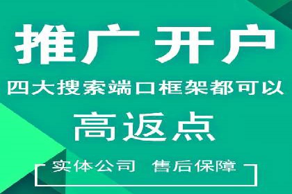 怎样做百度推广：成功案例分析与策略
